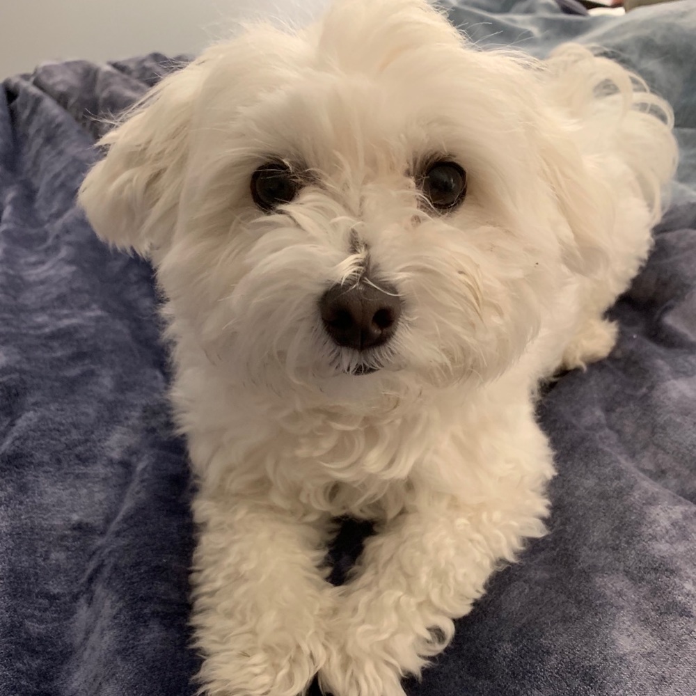 Like the item?  Make a reasonable offer..